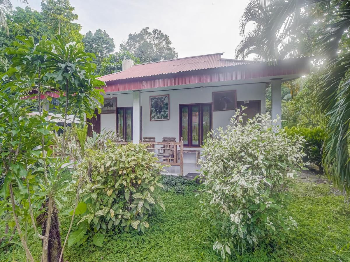 Oyo 90988 Tangkoko Jungle Homestay Rinondoran Exterior photo
