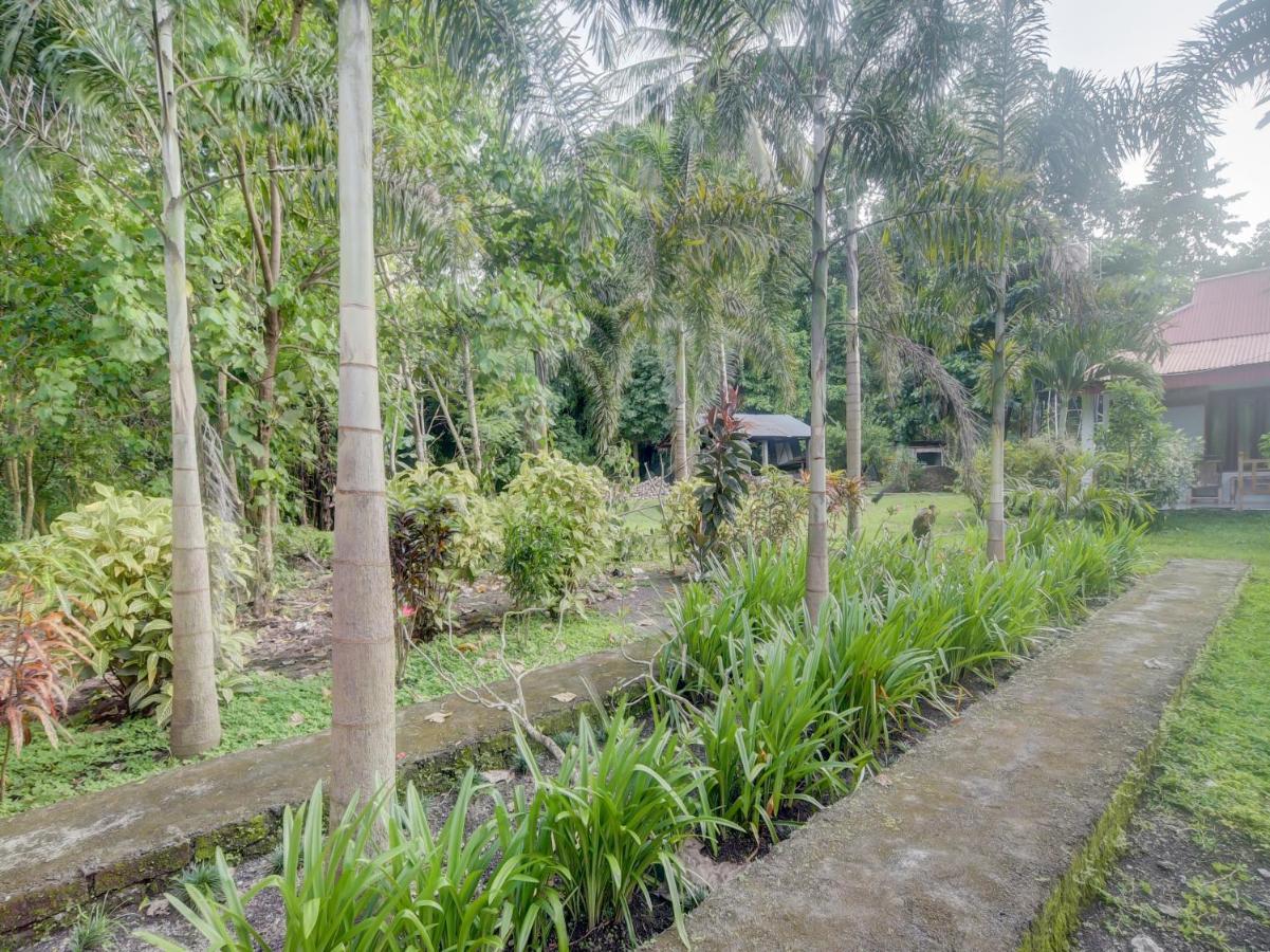 Oyo 90988 Tangkoko Jungle Homestay Rinondoran Exterior photo