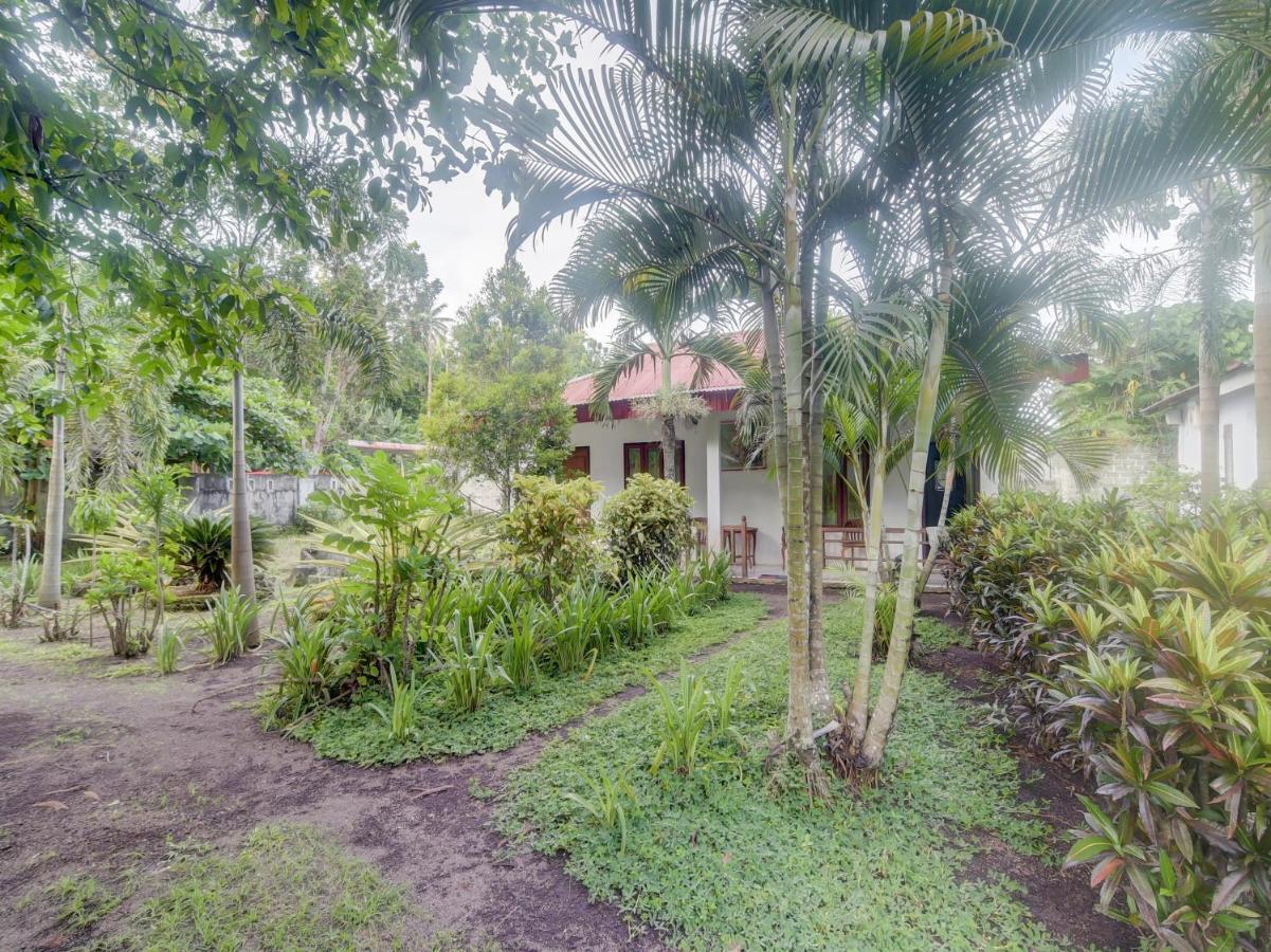 Oyo 90988 Tangkoko Jungle Homestay Rinondoran Exterior photo